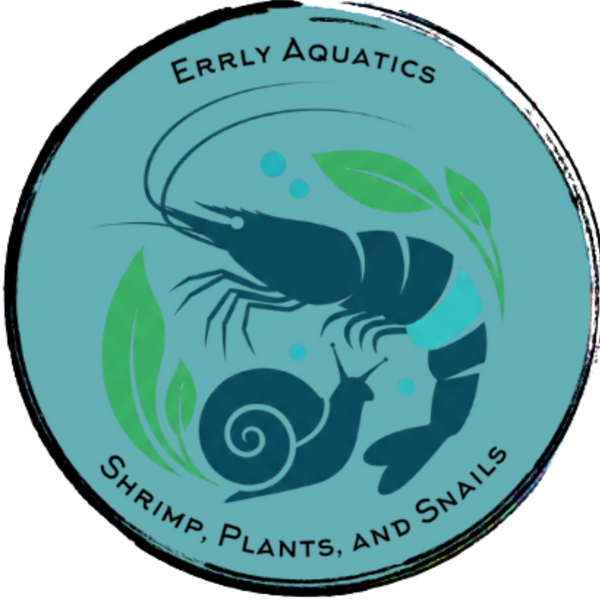 Errly Aquatics Blue Background Logo